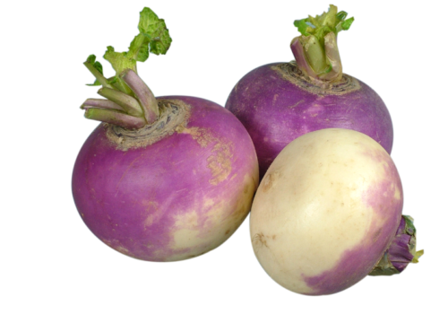 turnip (3)